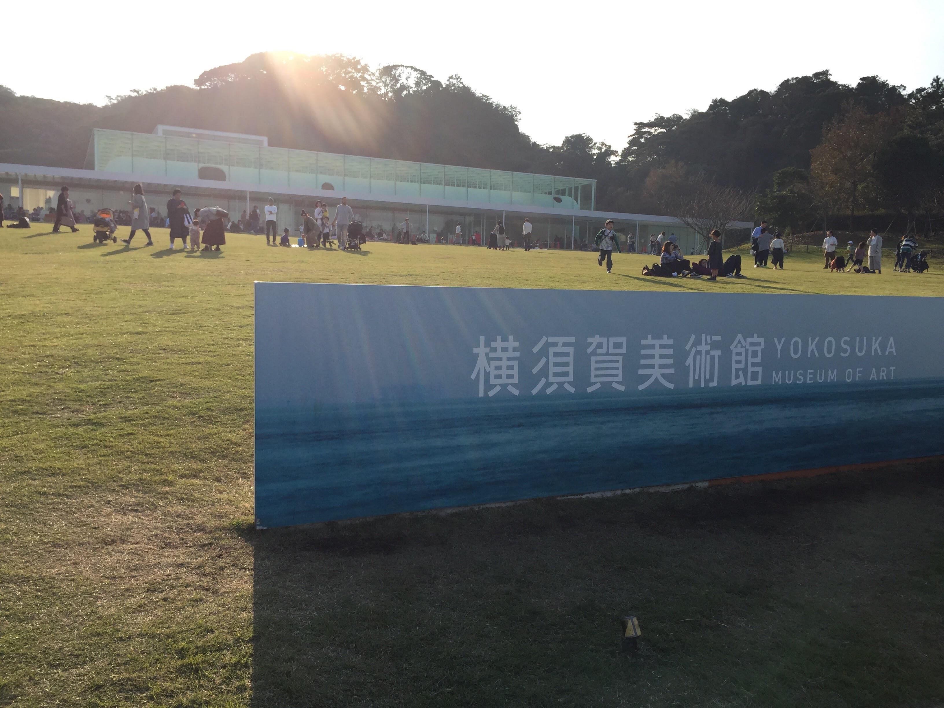 横須賀美術館の入口前には芝生が広がっています。