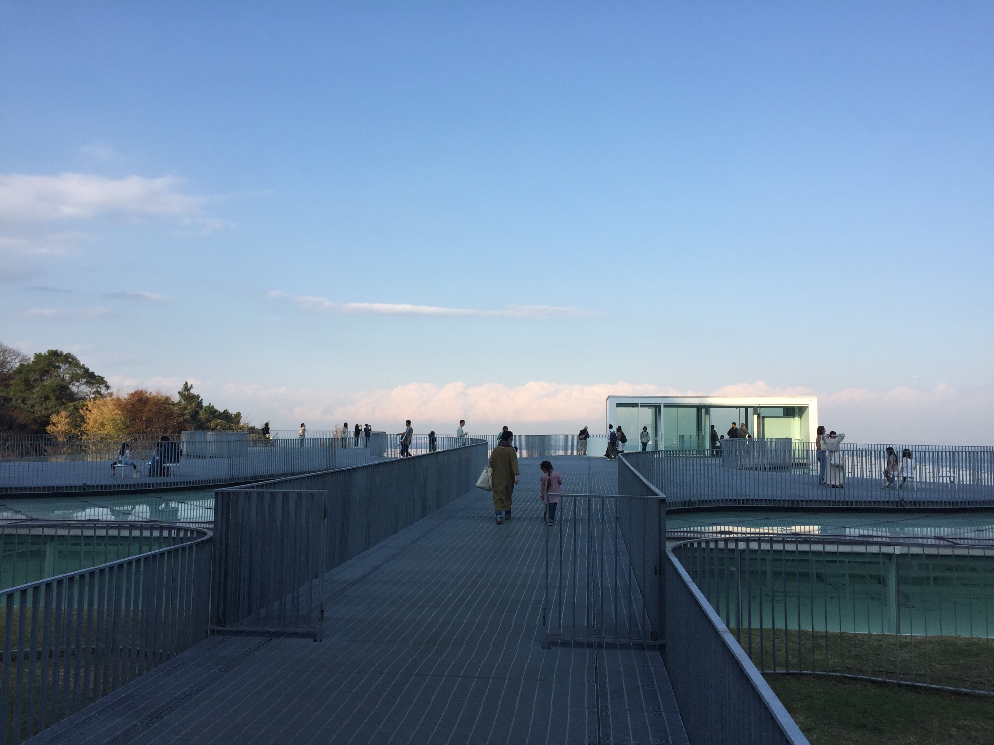 横須賀美術館の屋上です。