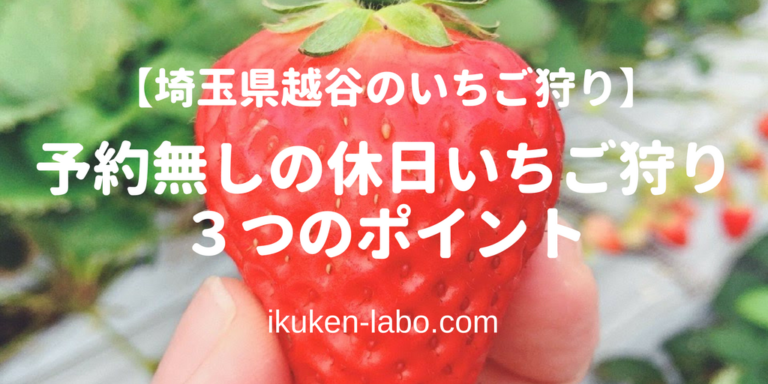 いとうあさこ 生年月日