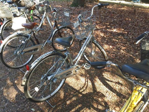国営昭和記念公園のレンタサイクルは利用するべき 人気の二人乗り自転車 ダンデム の空き状況 待ち時間もレポート イクケン