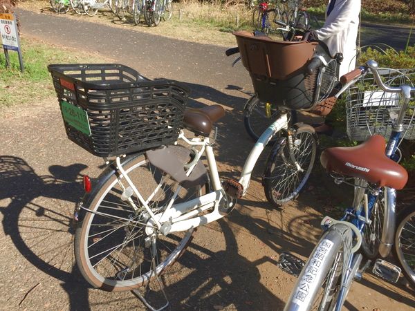 国営昭和記念公園のレンタサイクルは利用するべき 人気の二人乗り自転車 ダンデム の空き状況 待ち時間もレポート イクケン